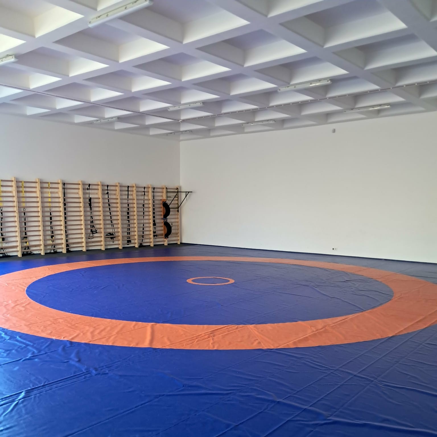 Állandó foglalkozásaink: birkózás!